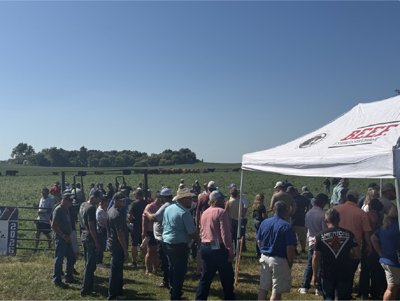 Cattleman Tour - People gathering to look at cows