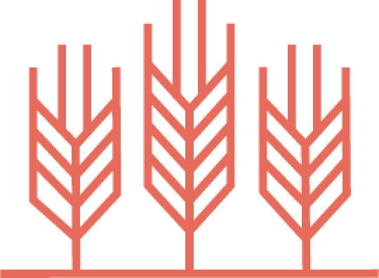 agri-business icon