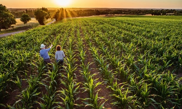 National Ag Day: Ag power is alive and well in Minnesota