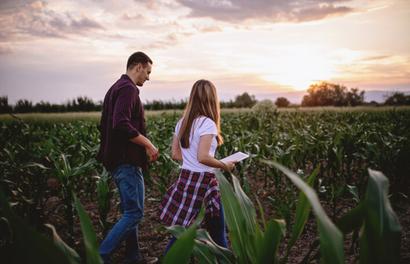 3 Ways to build financial efficiency into your farm