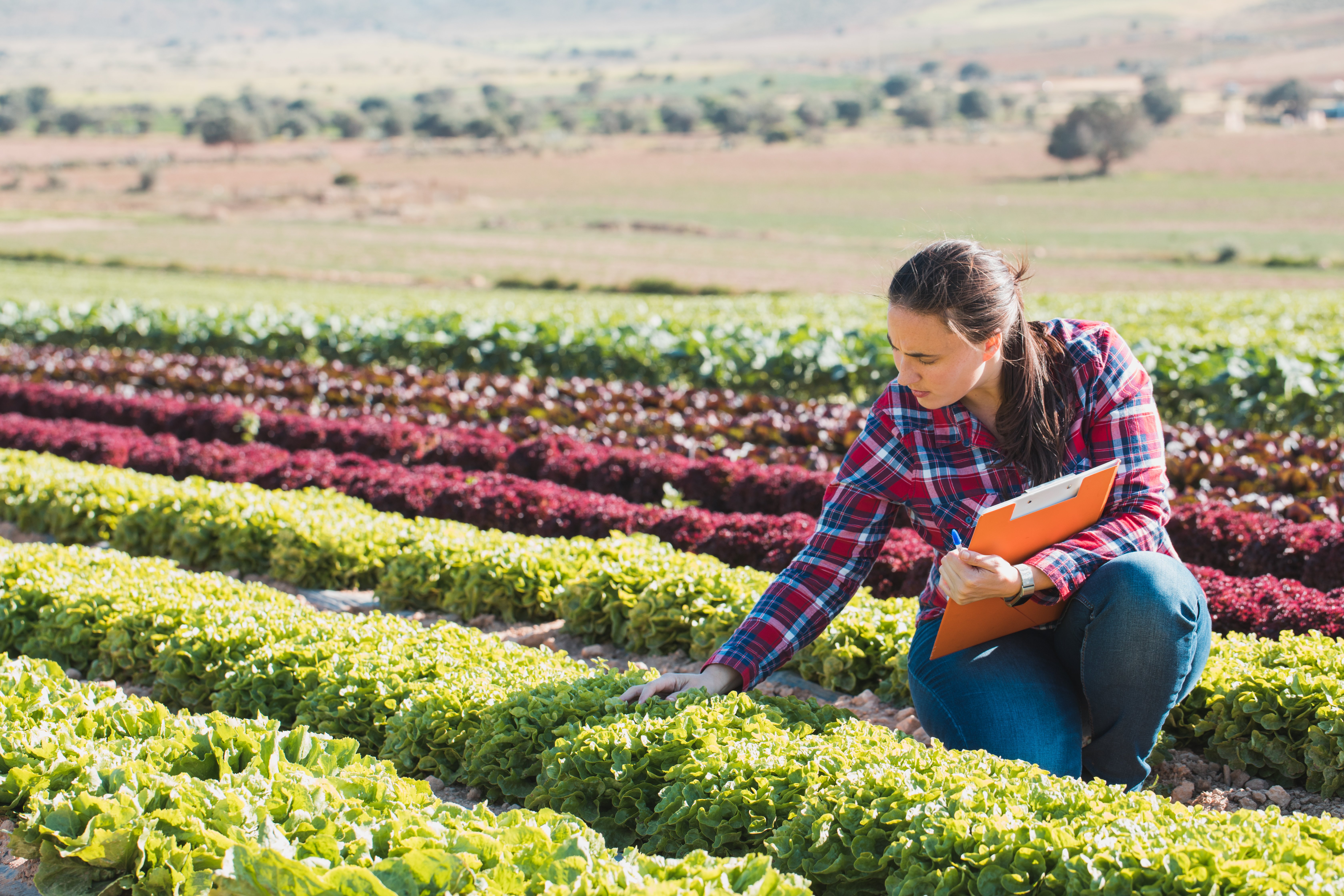 Planting Bold Roots: How Minnwest Bank is supporting new or expanding farm ownership