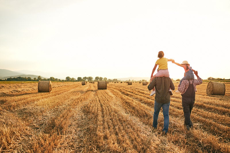 succession planning blog
