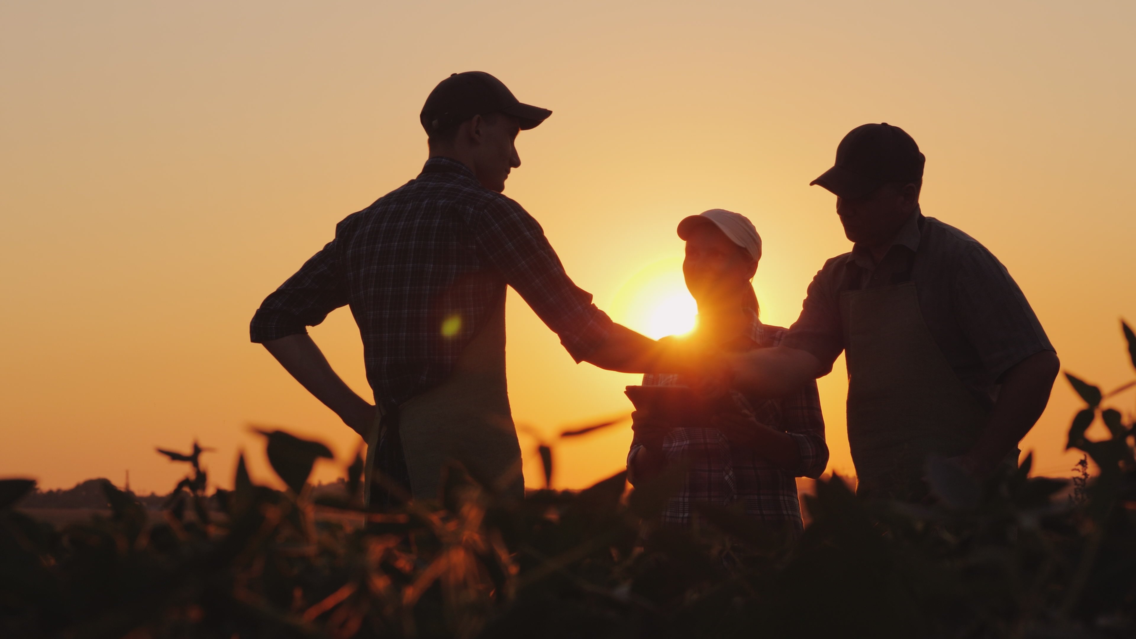 Build a culture of accountability and growth on the farm