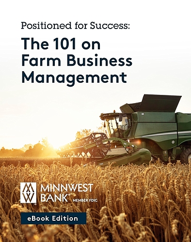 e-book cover