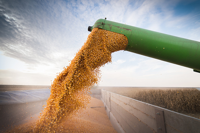 Making the most of corn season, despite late planting and cool markets