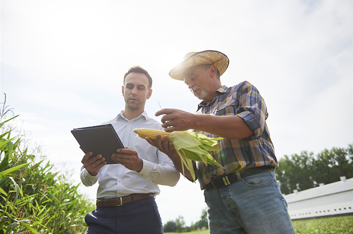 Agriculture insight: Major players nurture innovation by supporting startups