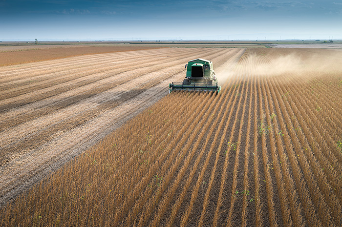 As soybeans pile up, Minnesota farmers eye an end to the trade war