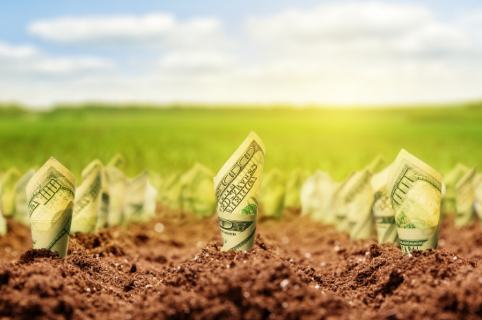 Ag operating loans: What are they and how do you get ready?