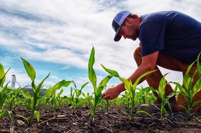 MN Millennial Farmer: Remaining Optimistic