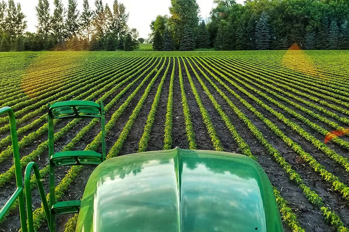 MN Millennial Farmer: Shaping public perception on farming