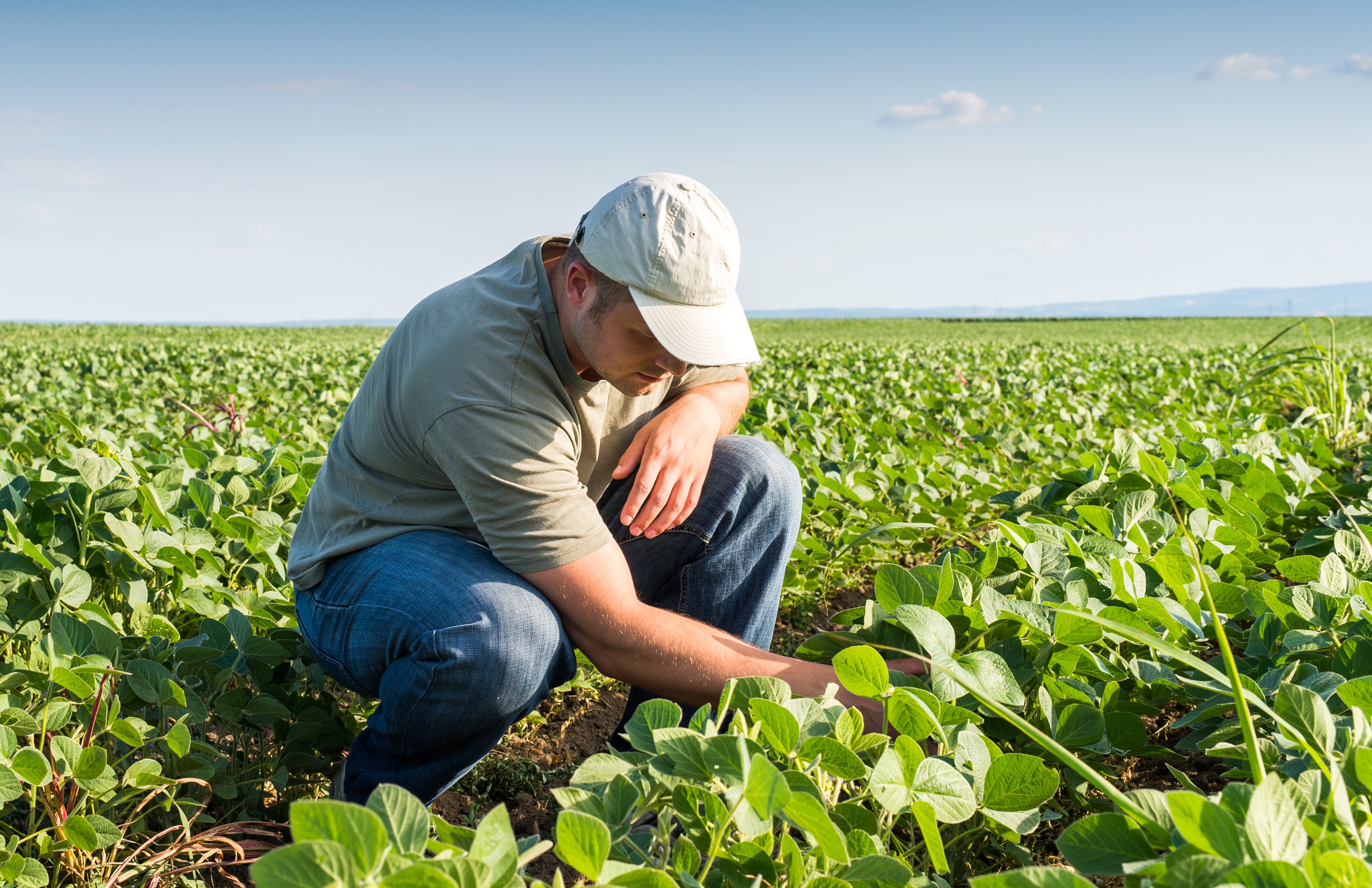Farm Accelerator Loans: A path to smarter ag real estate financing