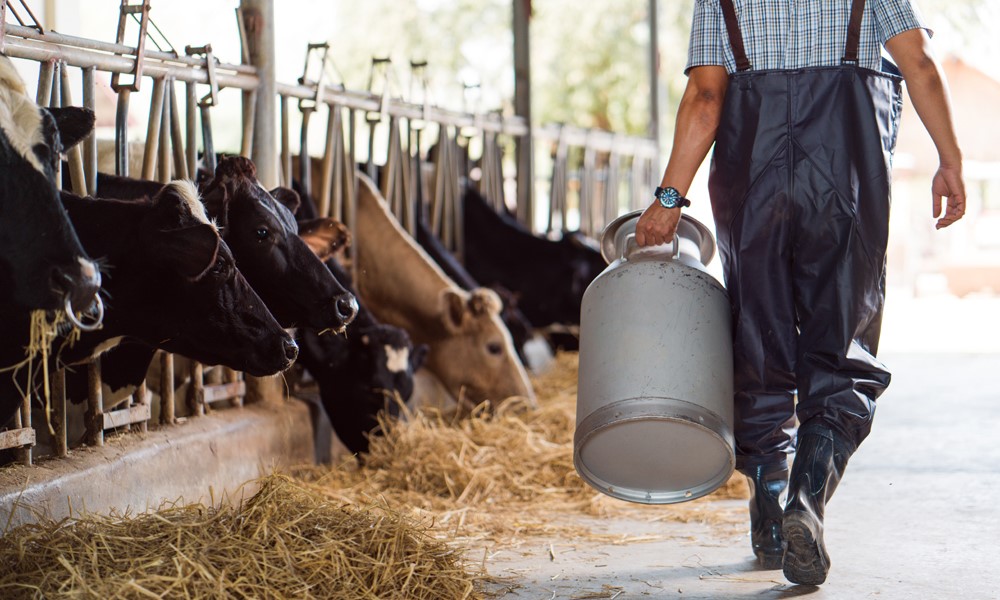 Is your farm profitable? Master these four metrics