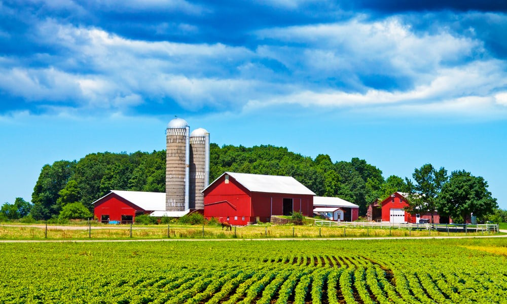 Rent or buy farmland: Which is best for your operation?